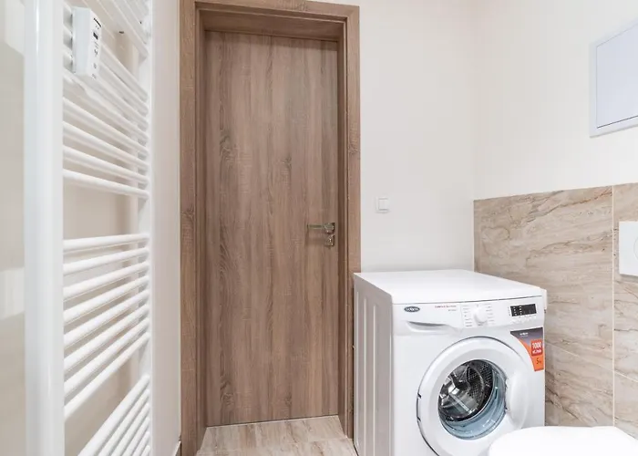 Brand New Studio Apartment #62 With Free Secure Parking In The Center
