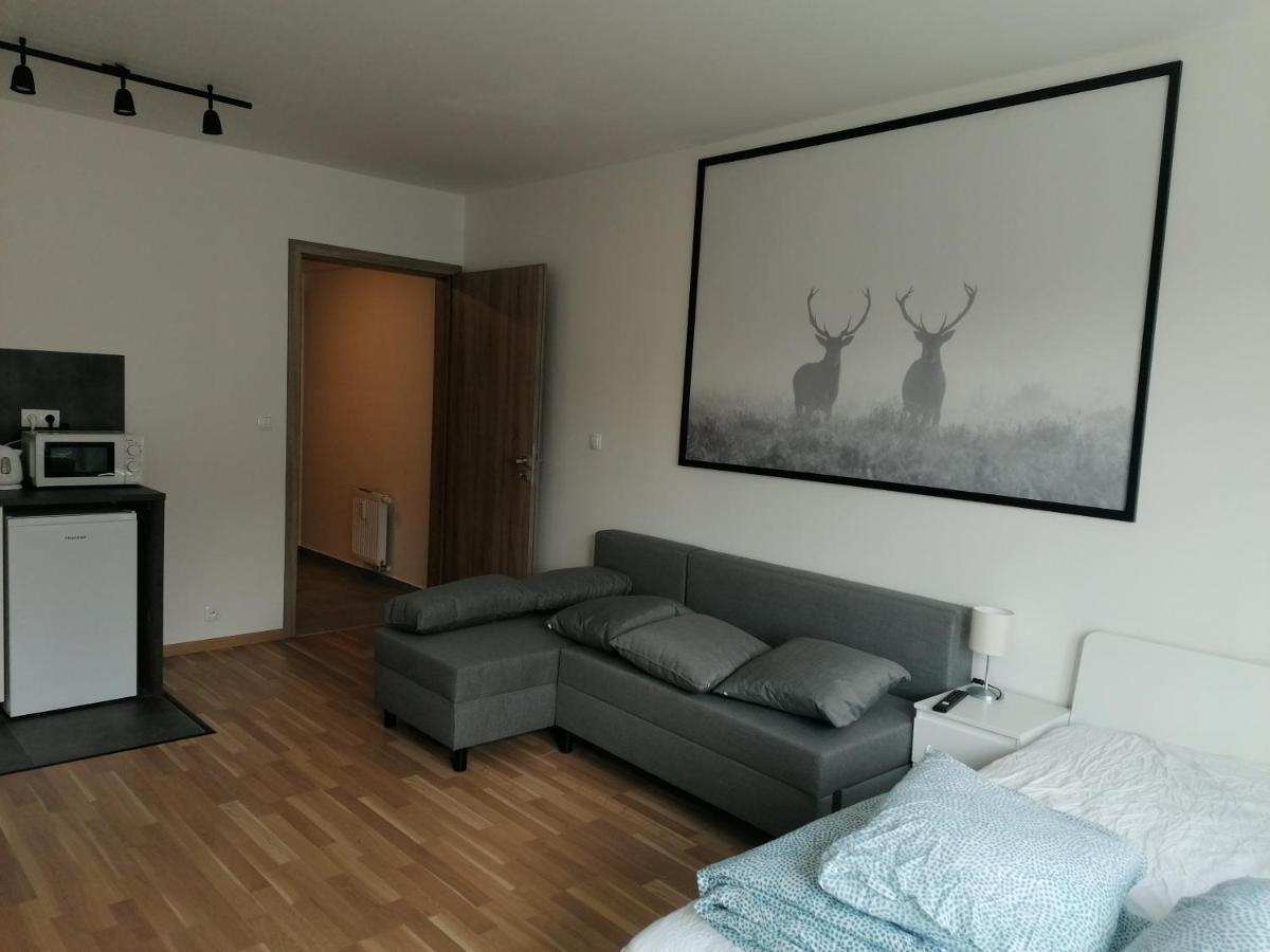 Apartmán Brand New #62 With Free Secure Parking In The Center Praha